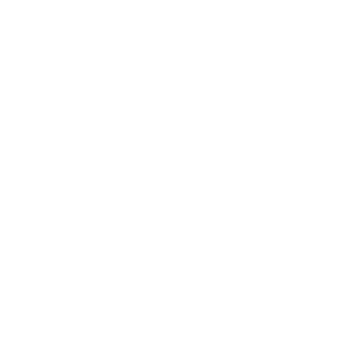 Vision